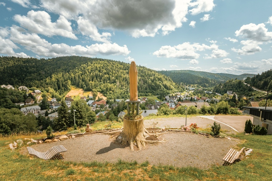 Blick über Todtmoos Blick über Todtmoos
