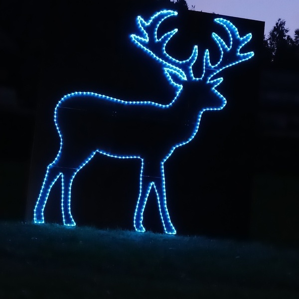 Todtmooser Hirsch erstrahlt in der Dunkelheit