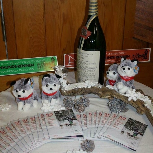 Die Austellung in der Wehratalhalle anlässlich des 50. Jubiläums Die Austellung in der Wehratalhalle anlässlich des 50. Jubiläums