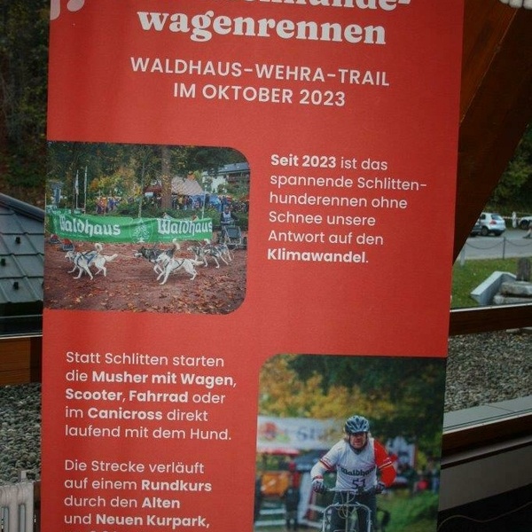 Die Austellung in der Wehratalhalle anlässlich des 50. Jubiläums Die Austellung in der Wehratalhalle anlässlich des 50. Jubiläums