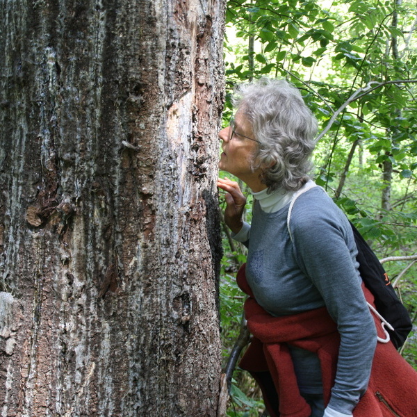 Elisabeth Sellin beim Waldbaden 