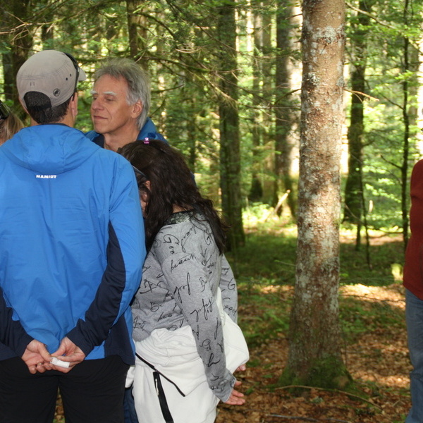 Teilnehmer/innen beim Waldbaden