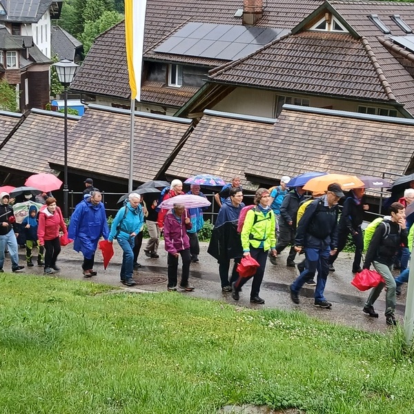 Die Hornussen in Todtmoos